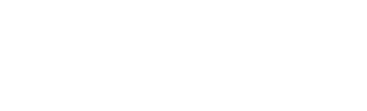 Vlad Casino